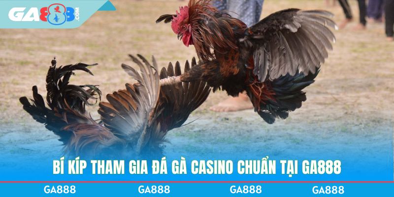 Bí kíp tham gia đá gà casino chuẩn tại GA888