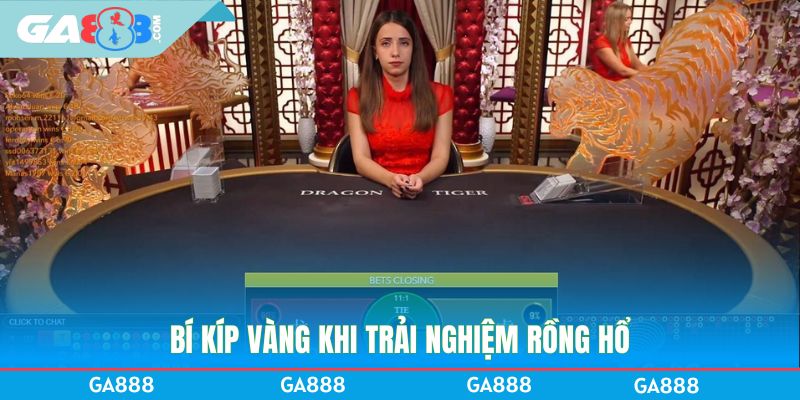 Bí kíp vàng khi trải nghiệm Rồng Hổ