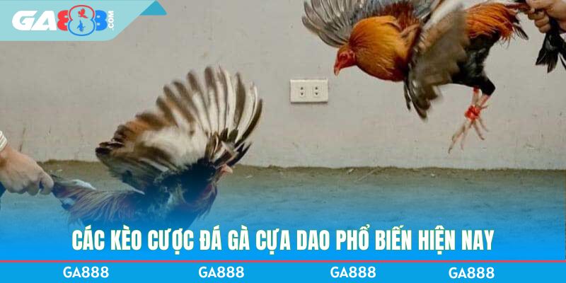 Các kèo cược đá gà cựa dao phổ biến hiện nay