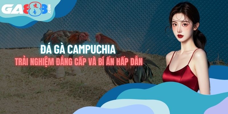 Đá Gà Campuchia - Trải Nghiệm Đẳng Cấp Và Bí Ẩn Hấp Dẫn