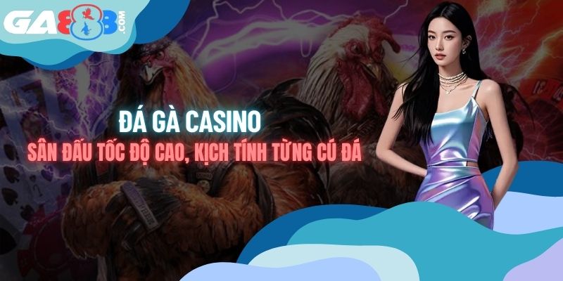 Đá Gà Casino - Sân Đấu Tốc Độ Cao, Kịch Tính Từng Cú Đá