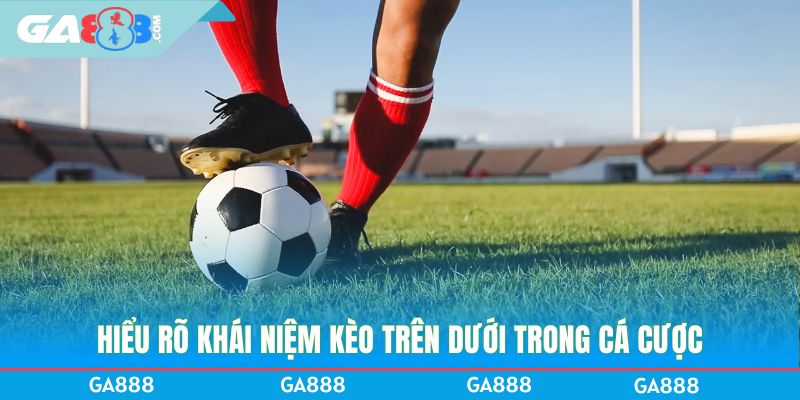 Hiểu rõ khái niệm kèo trên dưới trong cá cược