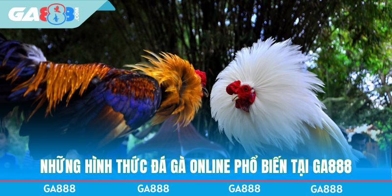 Những hình thức đá gà Online phổ biến tại GA888